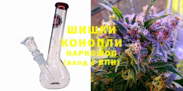 индика Нефтегорск